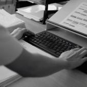 Study Programmes