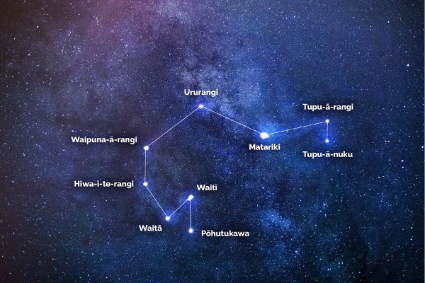 The stars of Matariki