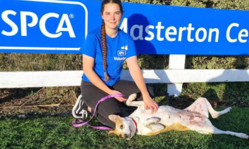 WelTec Vet Nursing Katie Story SPCA story
