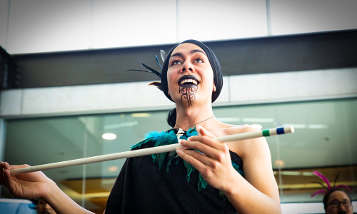 DipPerformingArts MaoriPacificDance